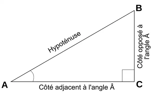 Triangle Rectangle